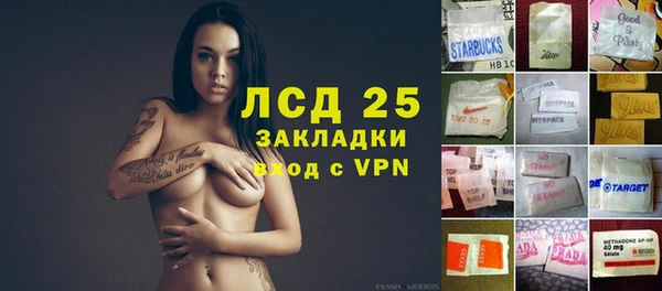 прущие грибы Абаза