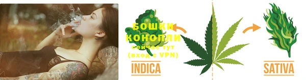 прущие грибы Абаза