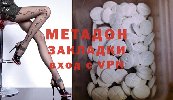 прущие грибы Абаза